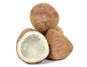 Arul Jothi Exports